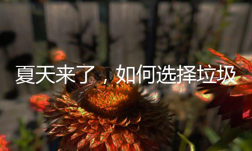 夏天来了择垃何选圾桶，如